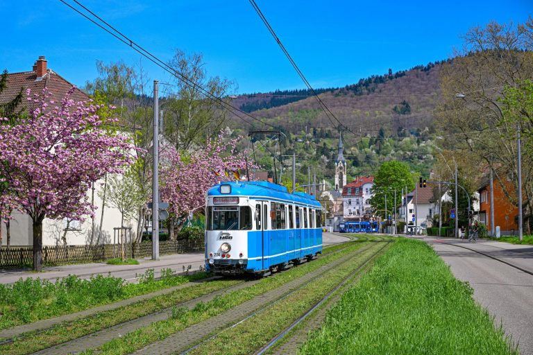 Weinbergnacht bei „Adam Müller“ – TW204 verkehrt nach Leimen
